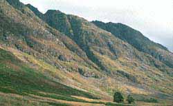 sml-glencoe3-edit.jpg (12937 bytes)