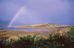 sml-rainbow-edit.jpg (24183 bytes)