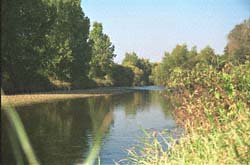 sml-river-edit.jpg (13888 bytes)