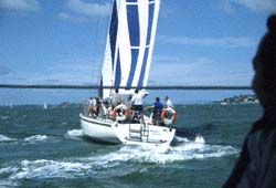 sml-sillouette.JPG (13049 bytes)